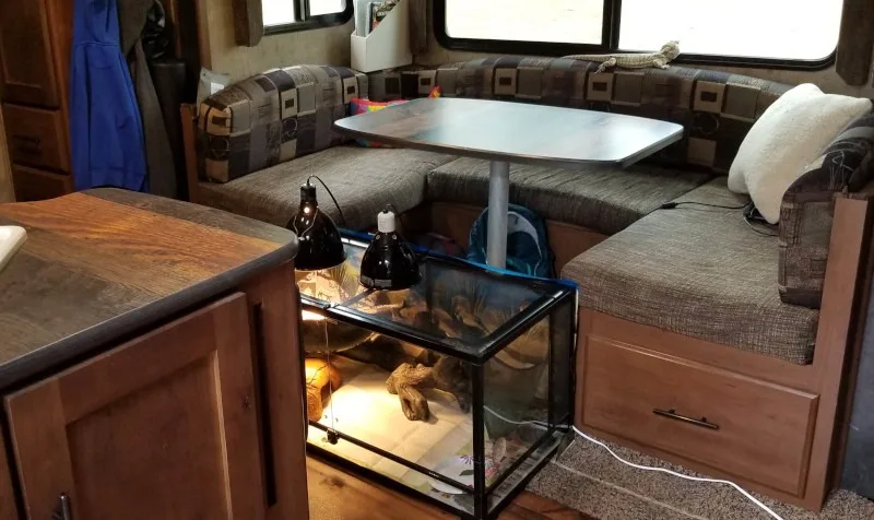 Bearded Dragon cage in an RV